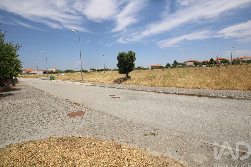 Land in Almeida - Image 3