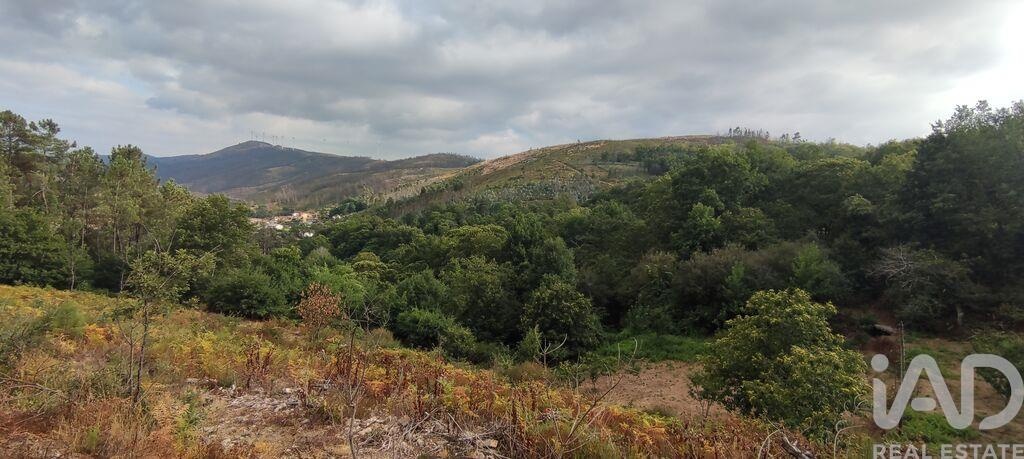 Land in Moes - view 1