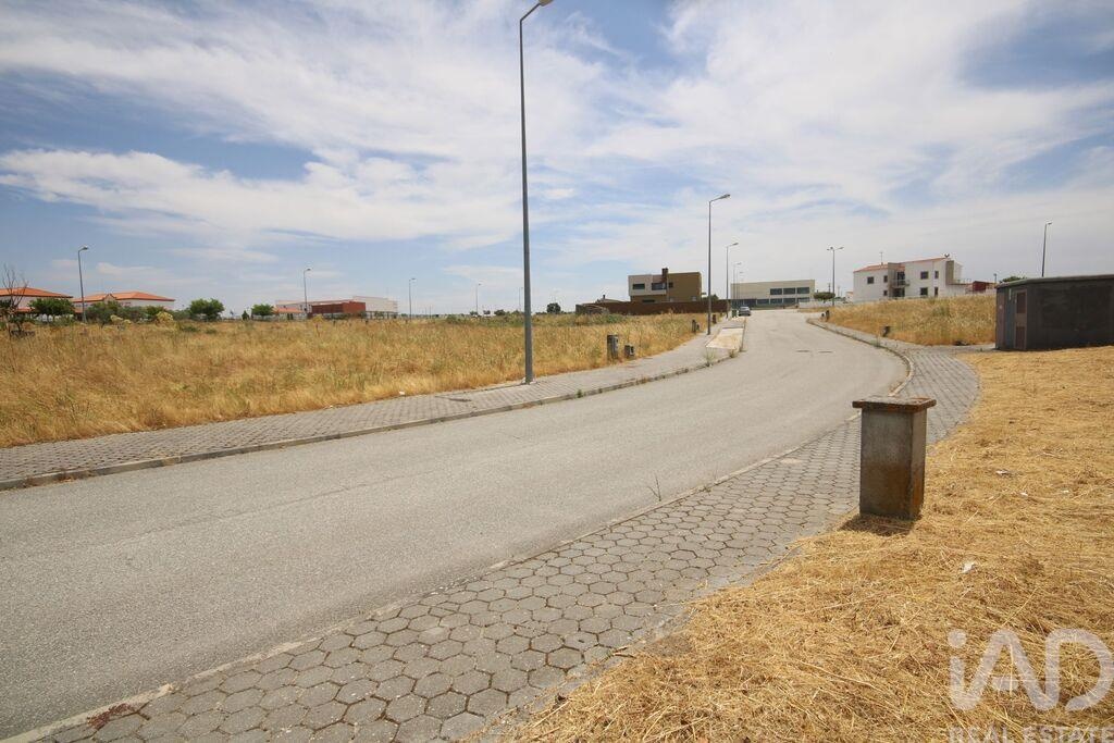Land in Almeida - Image 4