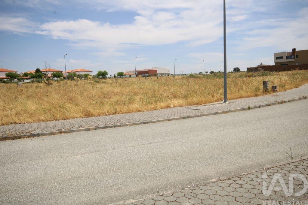 Land in Almeida - Image 5