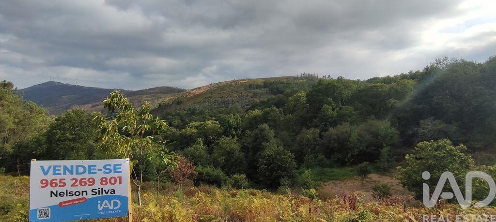 Land in Moes - Image 4