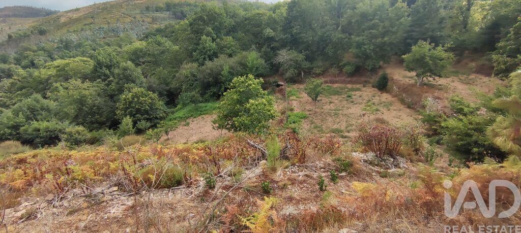 Land in Moes - Image 3