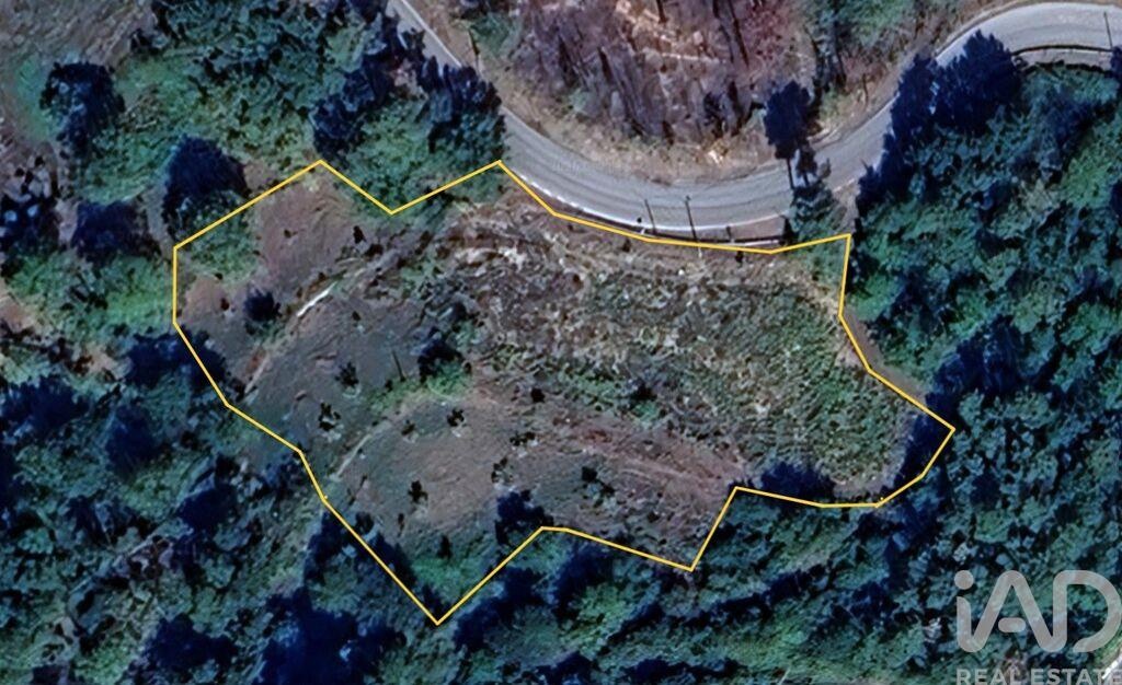 Land in Moes - Image 5