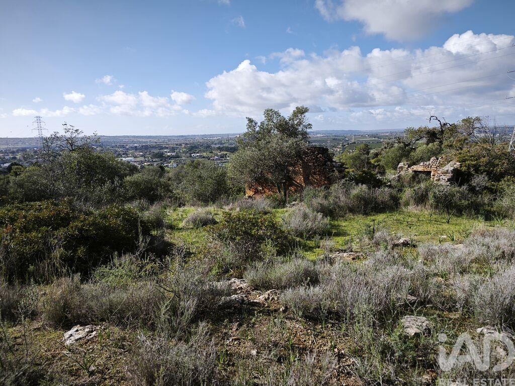 Land in Tunes - Image 4