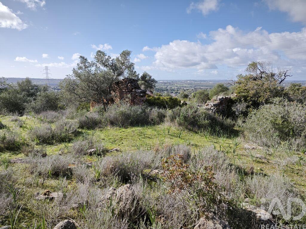 Land in Tunes - Image 2