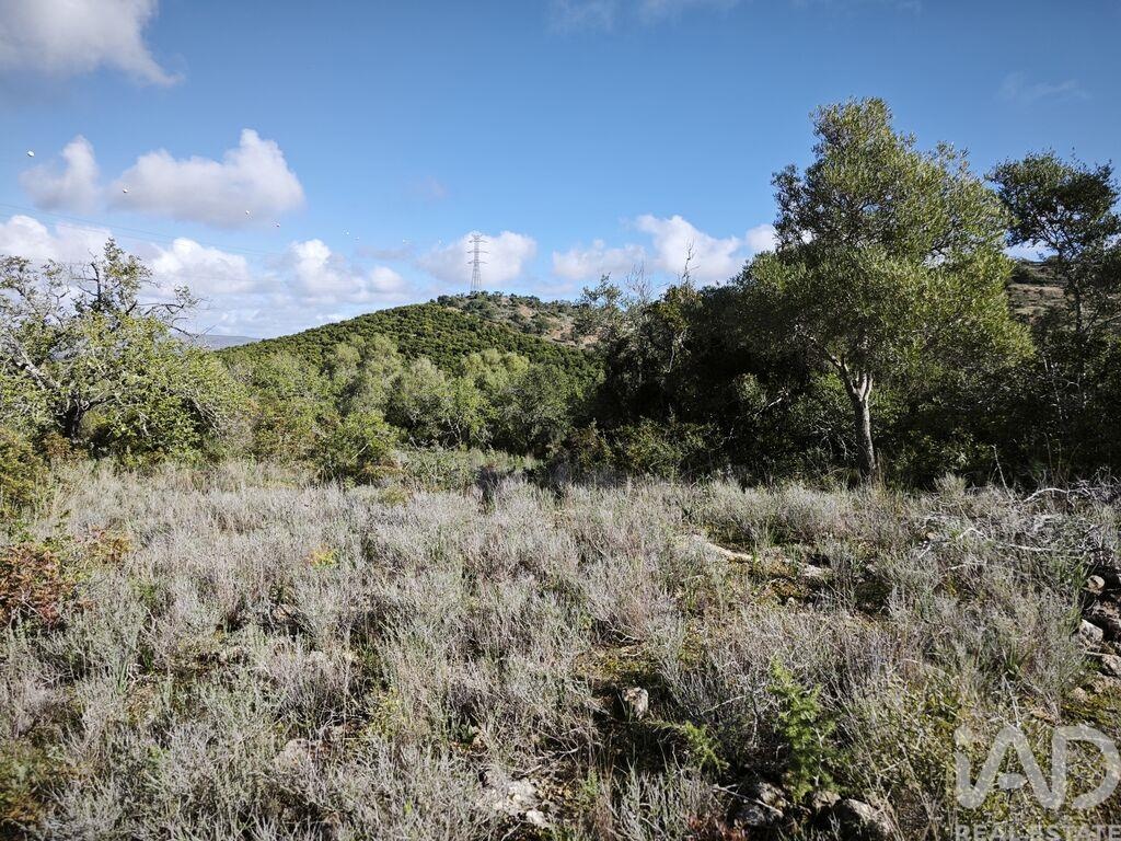 Land in Tunes - Image 5