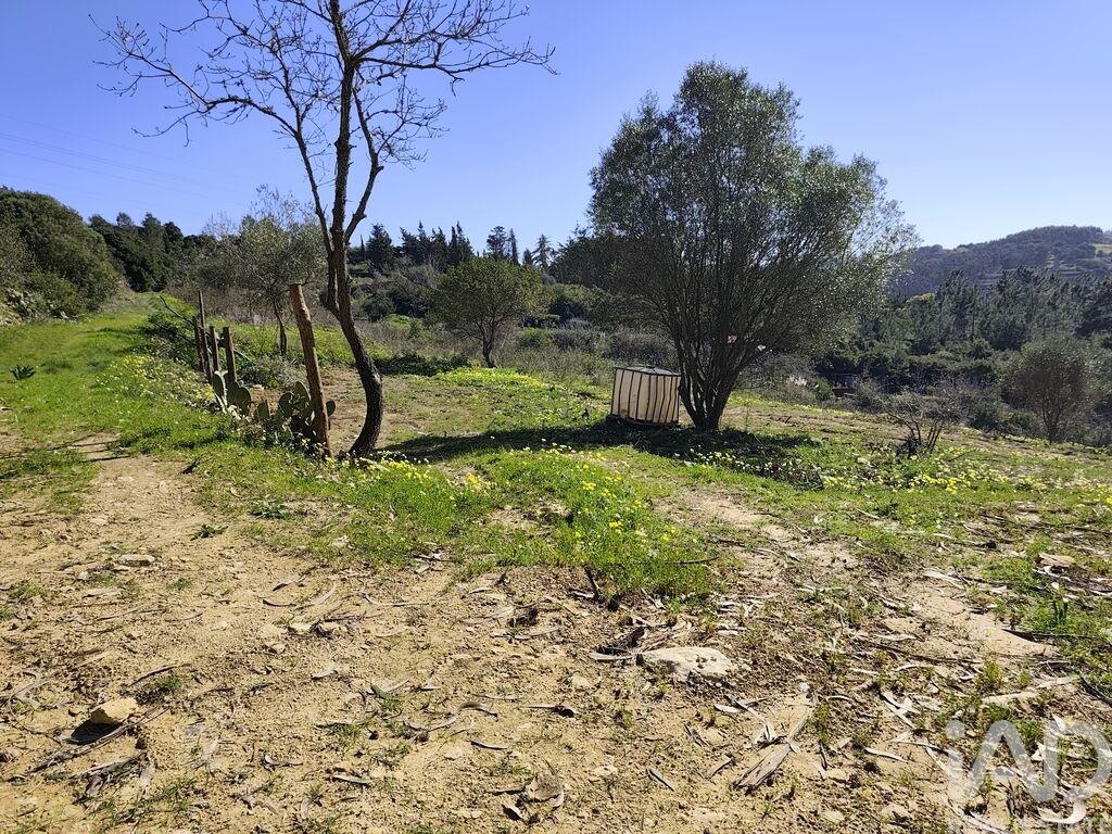 Land in Mafra - Image 5