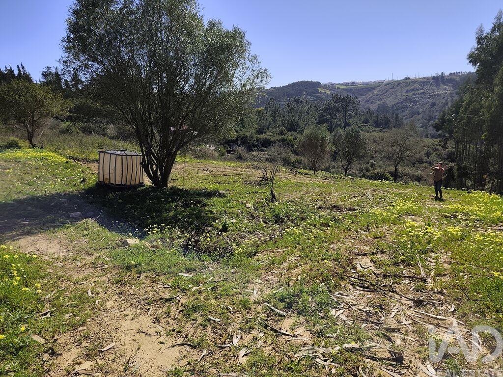 Land in Mafra - Image 4