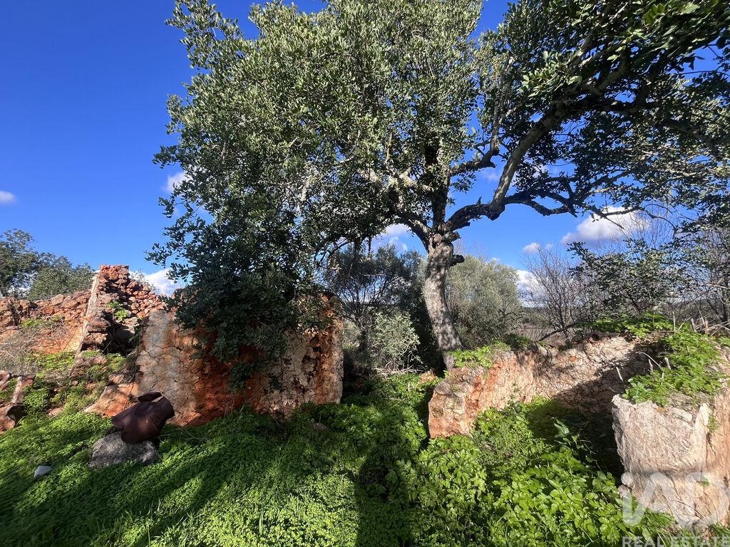 Land in Benafim - Image 4