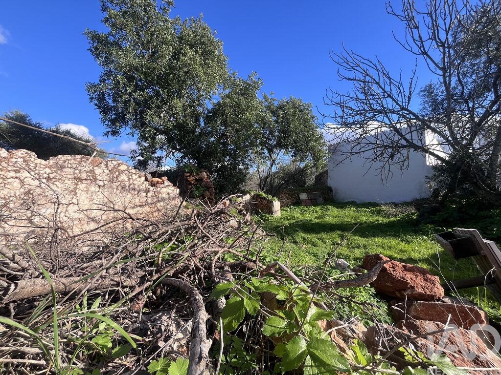 Land in Benafim - Image 3