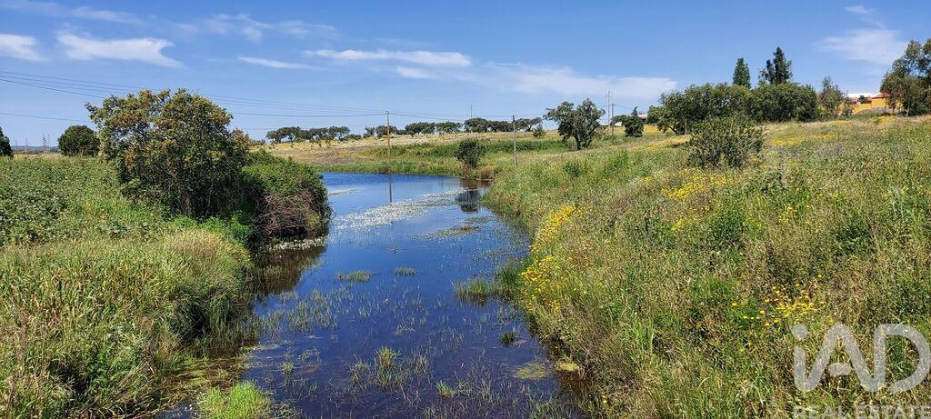 House in Ourique - Image 4