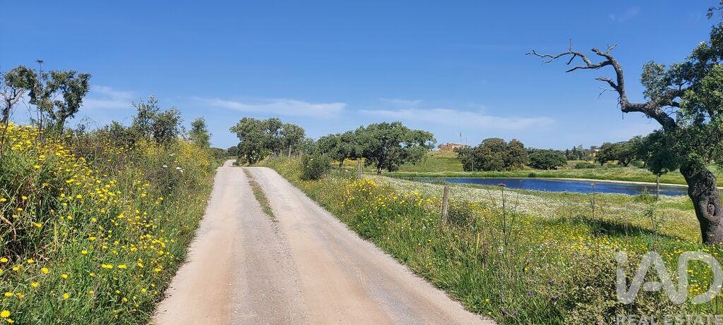 House in Ourique - Image 2