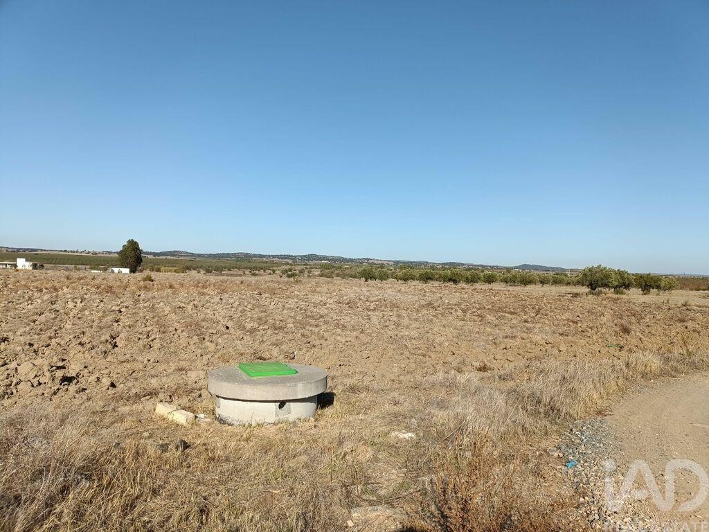 Land in Cuba - view 1