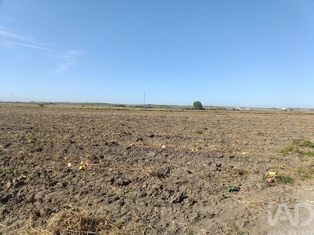Land in Cuba - Image 5