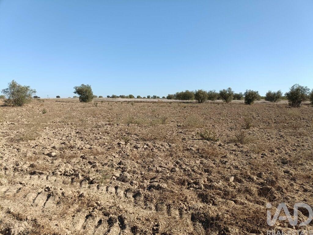 Land in Cuba - Image 4