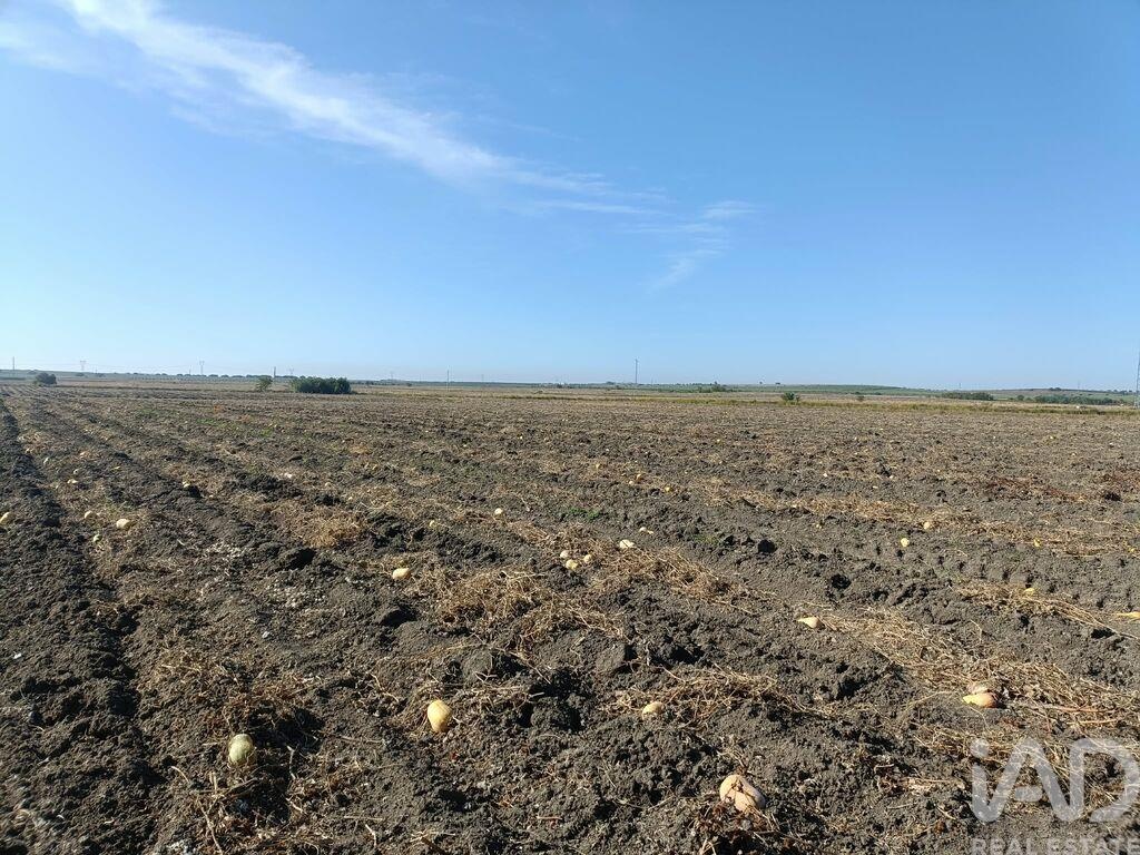 Land in Cuba - view 1