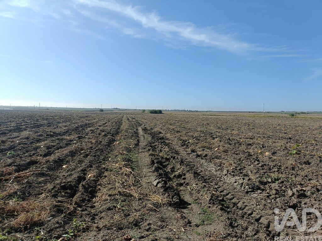 Land in Cuba - Image 4