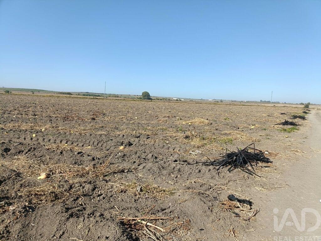 Land in Cuba - Image 2
