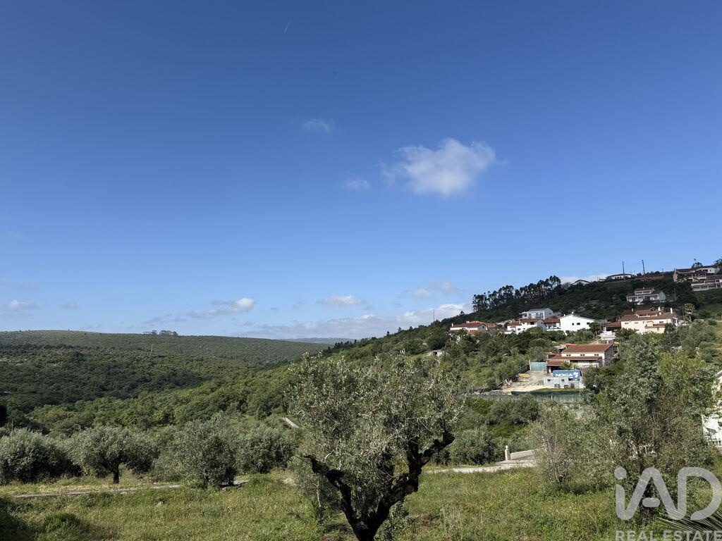 Land in Alqueidao da Serra - Image 4
