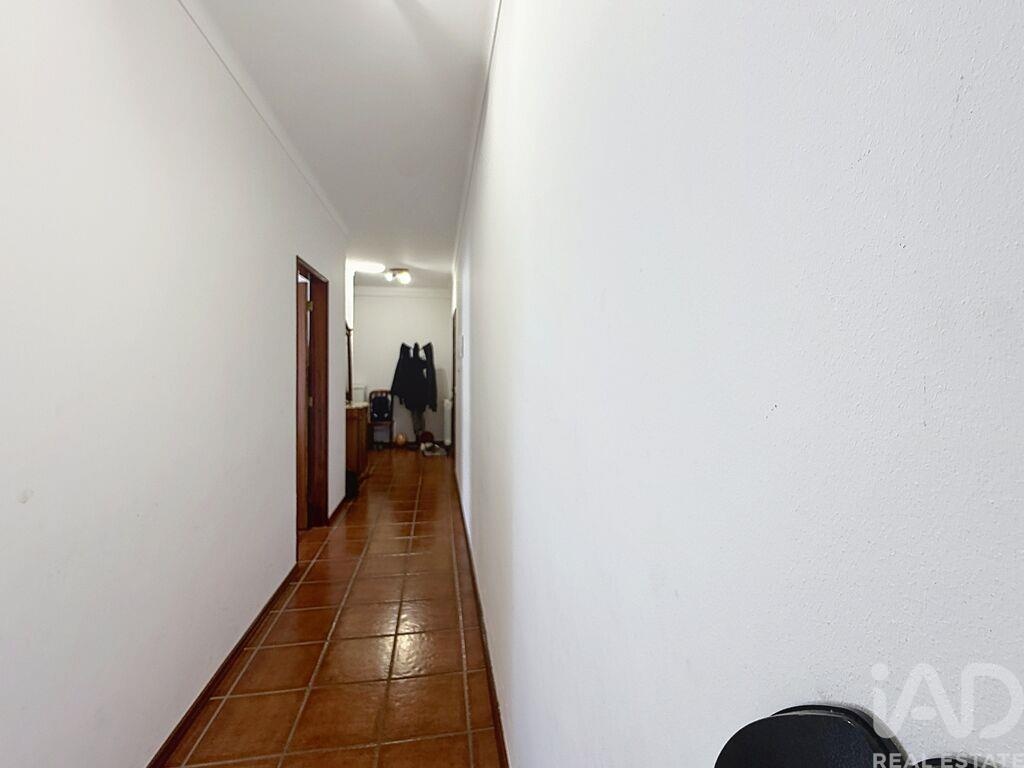 Apartment in Calvaria de Cima - Image 4