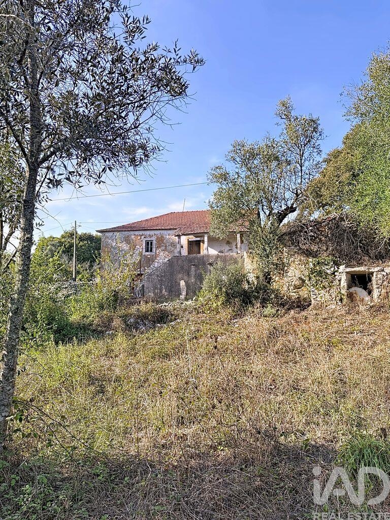 House in Portela de Cima - Image 3