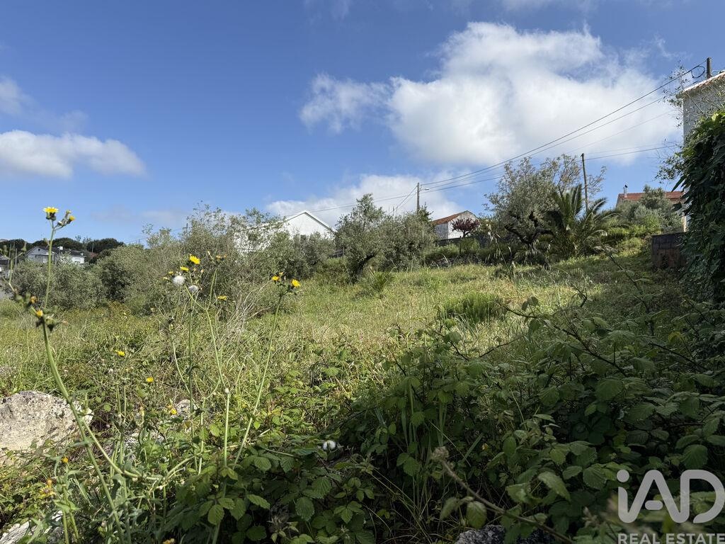 Land in Alqueidao da Serra - view 1
