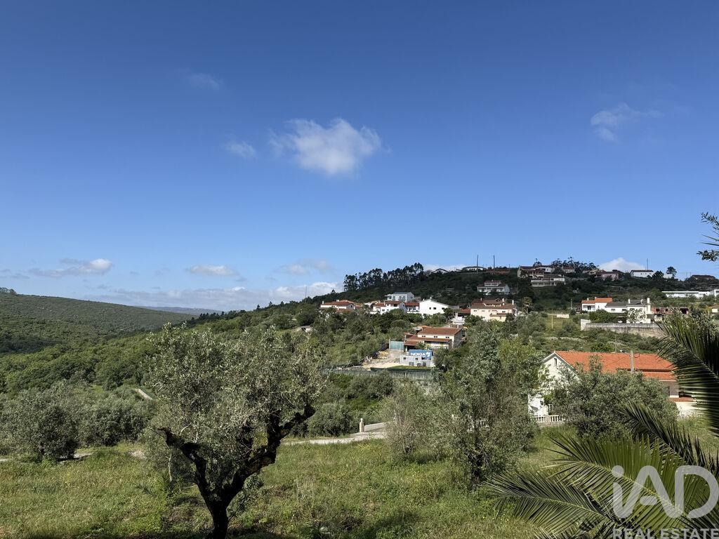 Land in Alqueidao da Serra - Image 5