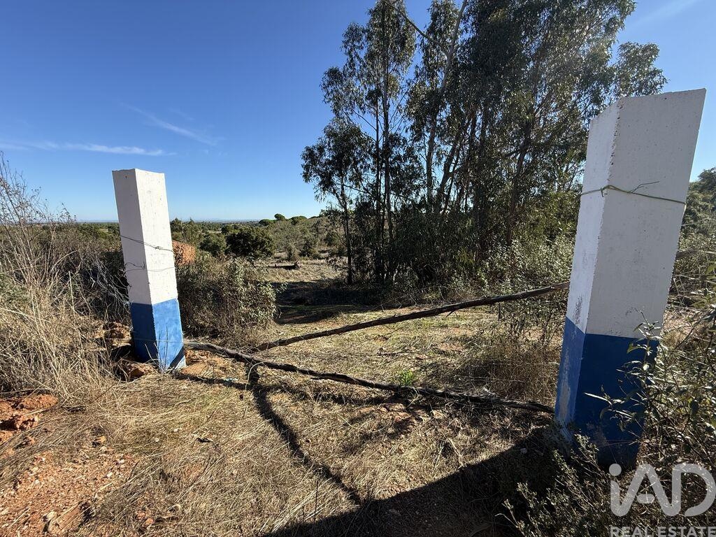 House in Alqueva - Image 4