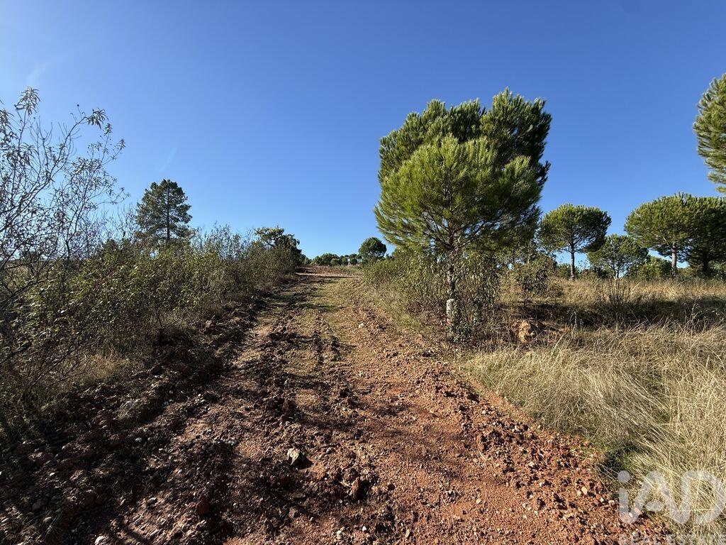 House in Alqueva - Image 3