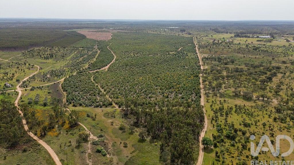 Land in Achete - Image 3