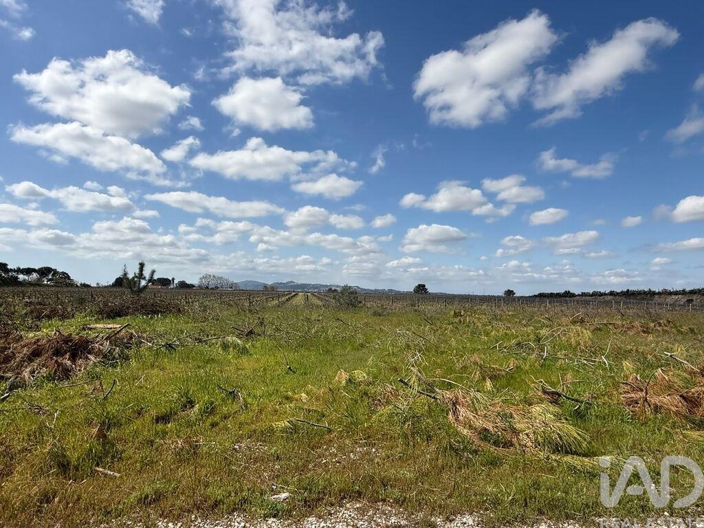 Land in Palmela - Image 5