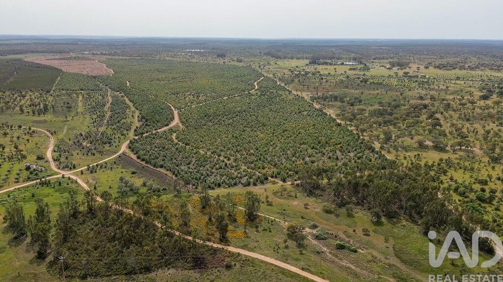 Land in Achete - Image 4