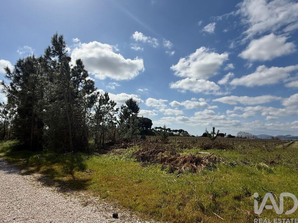 Land in Palmela - Image 4