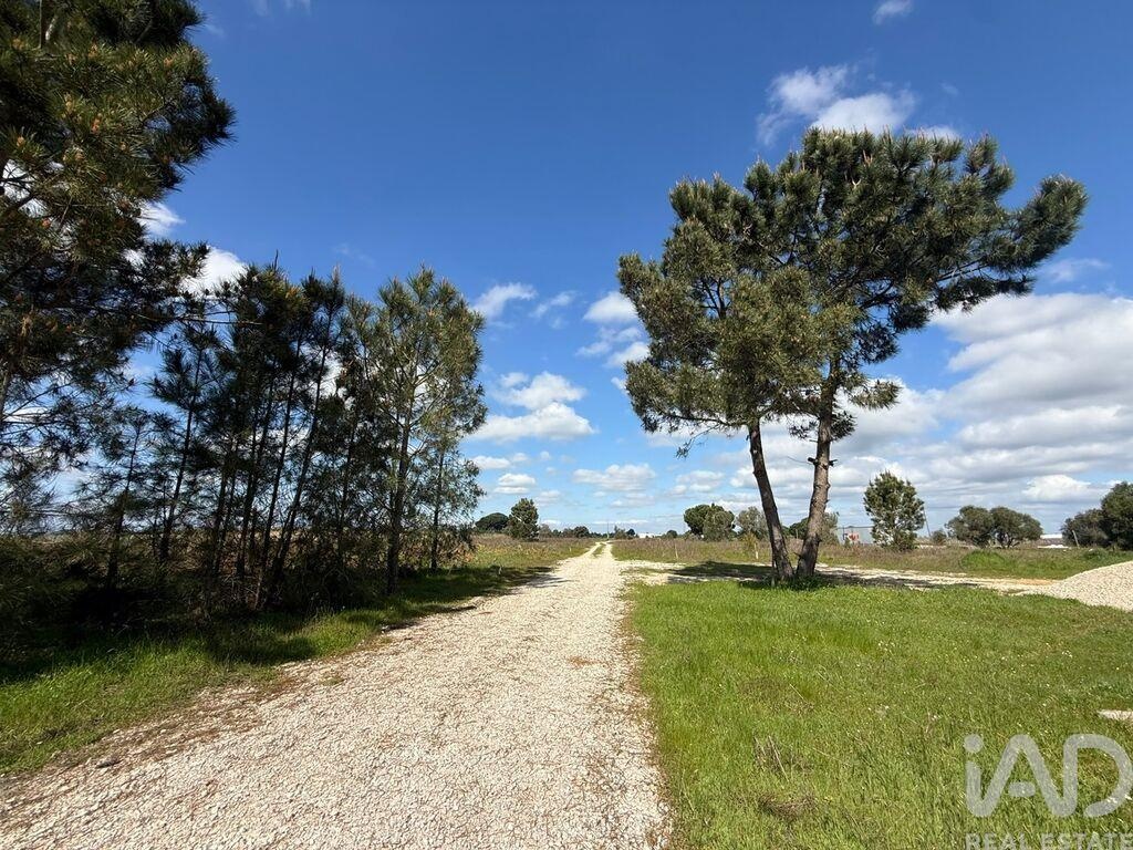 Land in Palmela - view 1