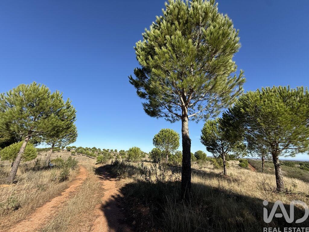 House in Alqueva - Image 2