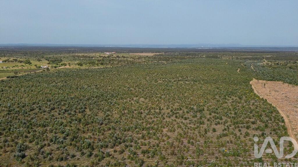 Land in Achete - Image 5