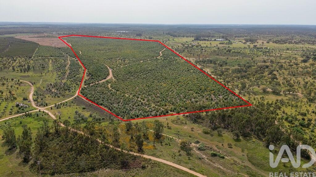 Land in Achete - view 1