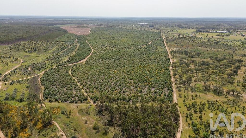Land in Achete - Image 2