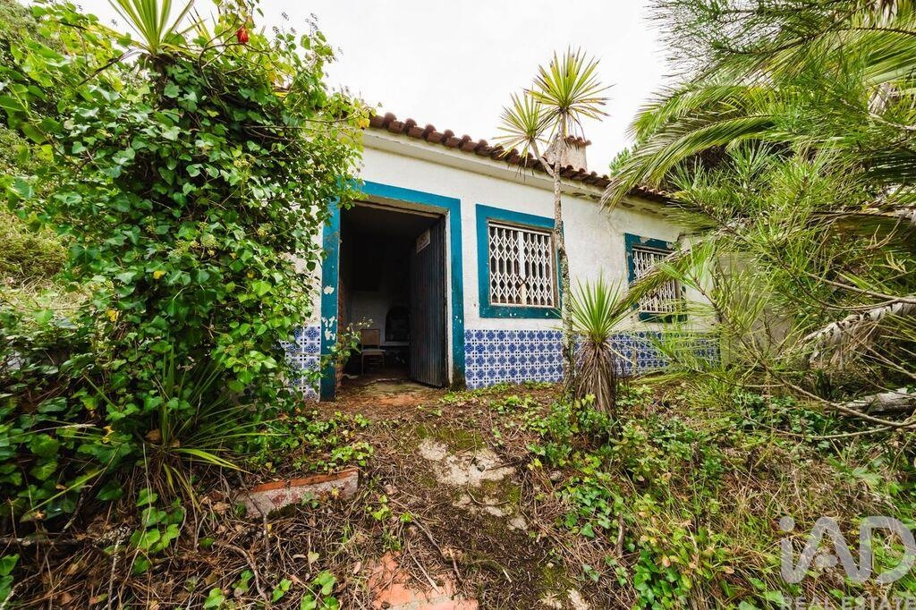 House in Foz do Arelho - Image 5