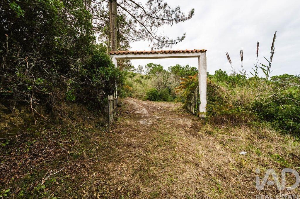 Land in Foz do Arelho - Image 4