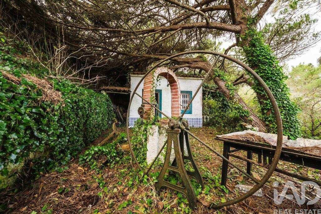 House in Foz do Arelho - view 1