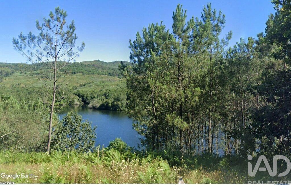 Land in Entre Ambos-Os-Rios - view 1