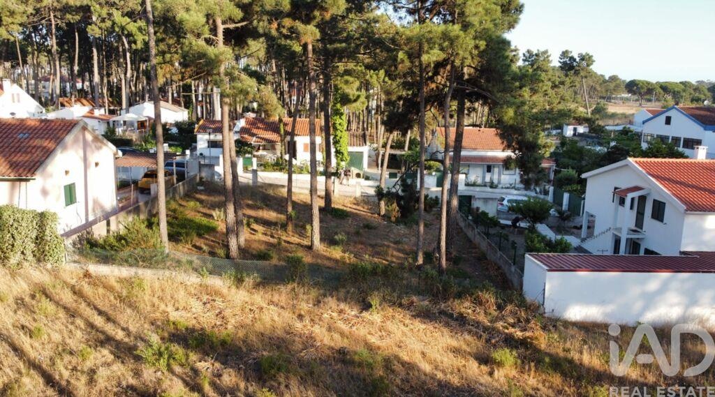 Land in Castelo - Image 4