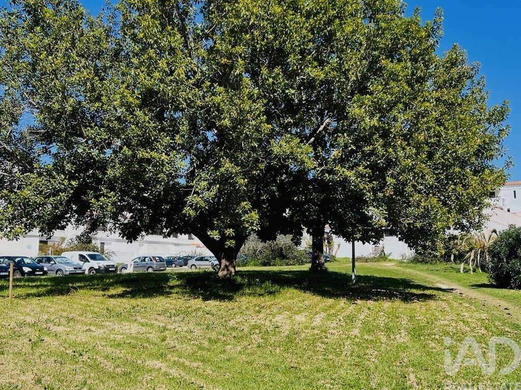 Apartment in Oura - Image 3