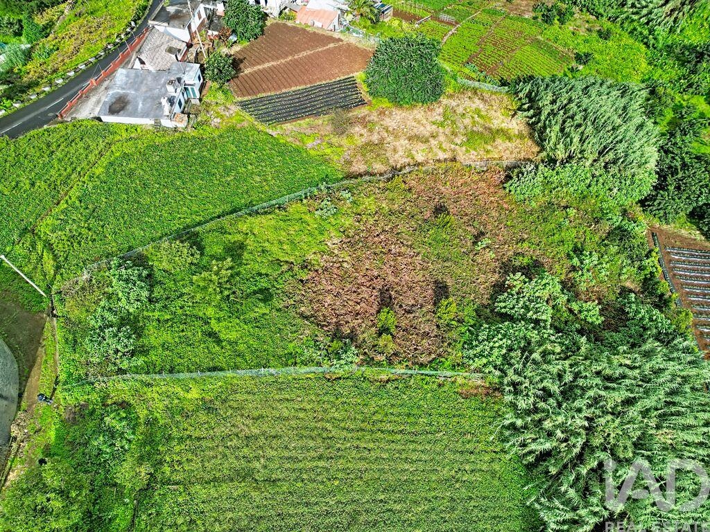 Land in Santana - Image 4