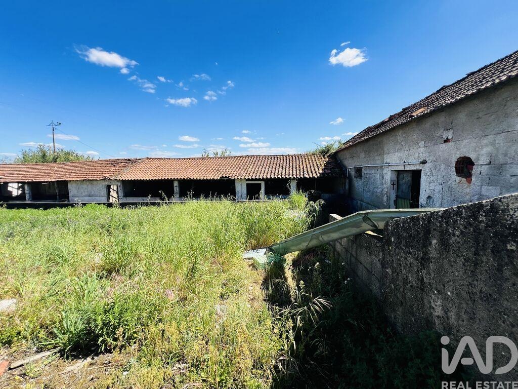 House in Seica - Image 4