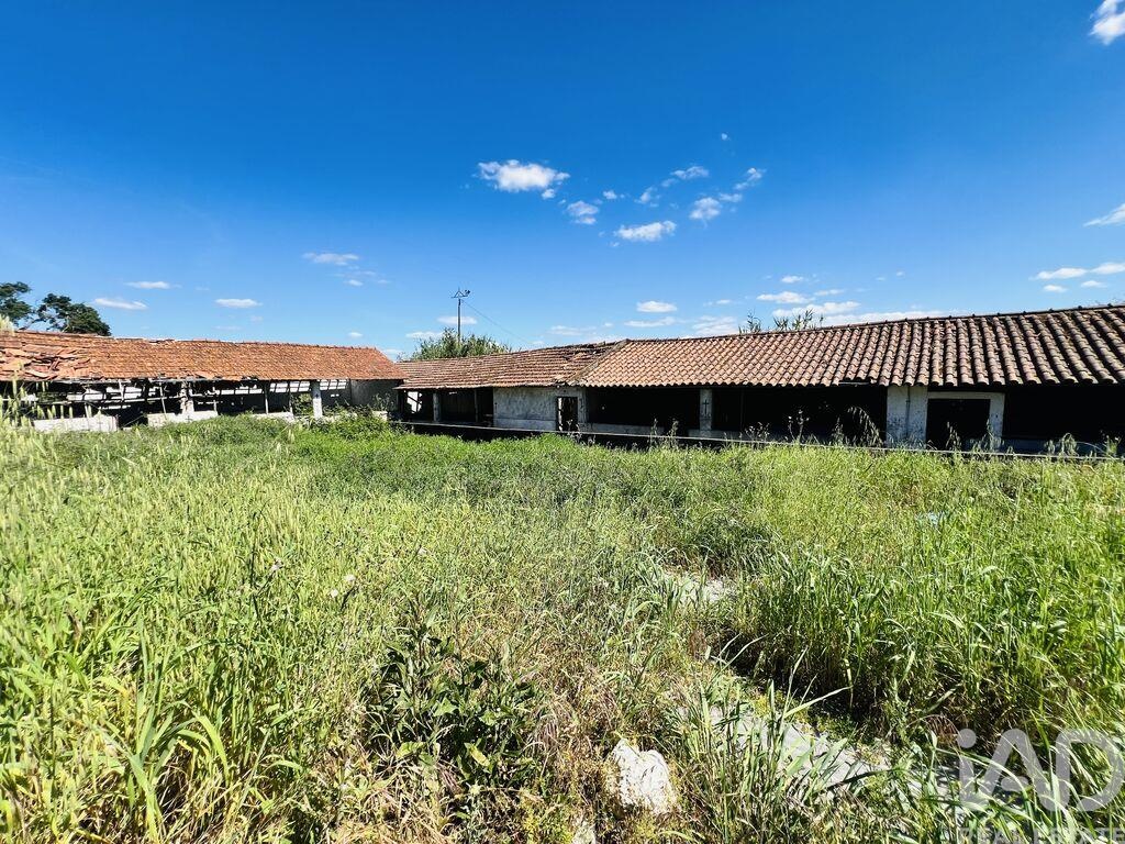 House in Seica - Image 5