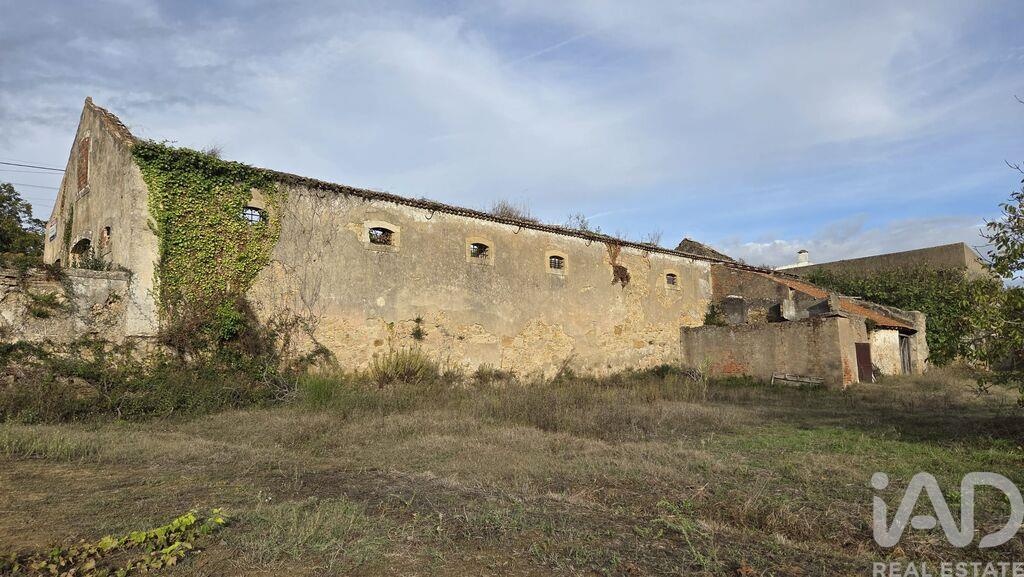 House in Pereiro de Palhacana - Image 2