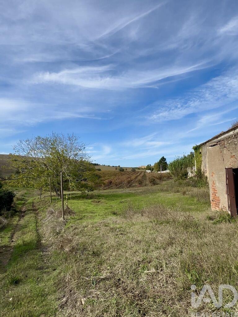 House in Pereiro de Palhacana - Image 5