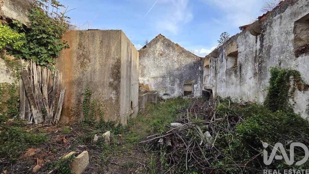 House in Pereiro de Palhacana - Image 3